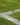 Soft Ground (SG) Boots