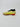 Adidas Predator 19+ FG - Solar Yellow / Core Black / Red